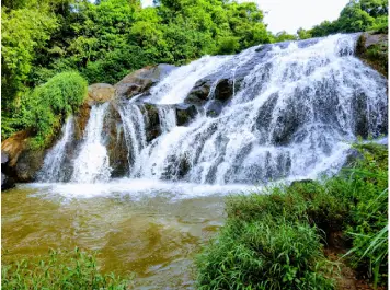 Catherine Falls - Resort In kotagiri